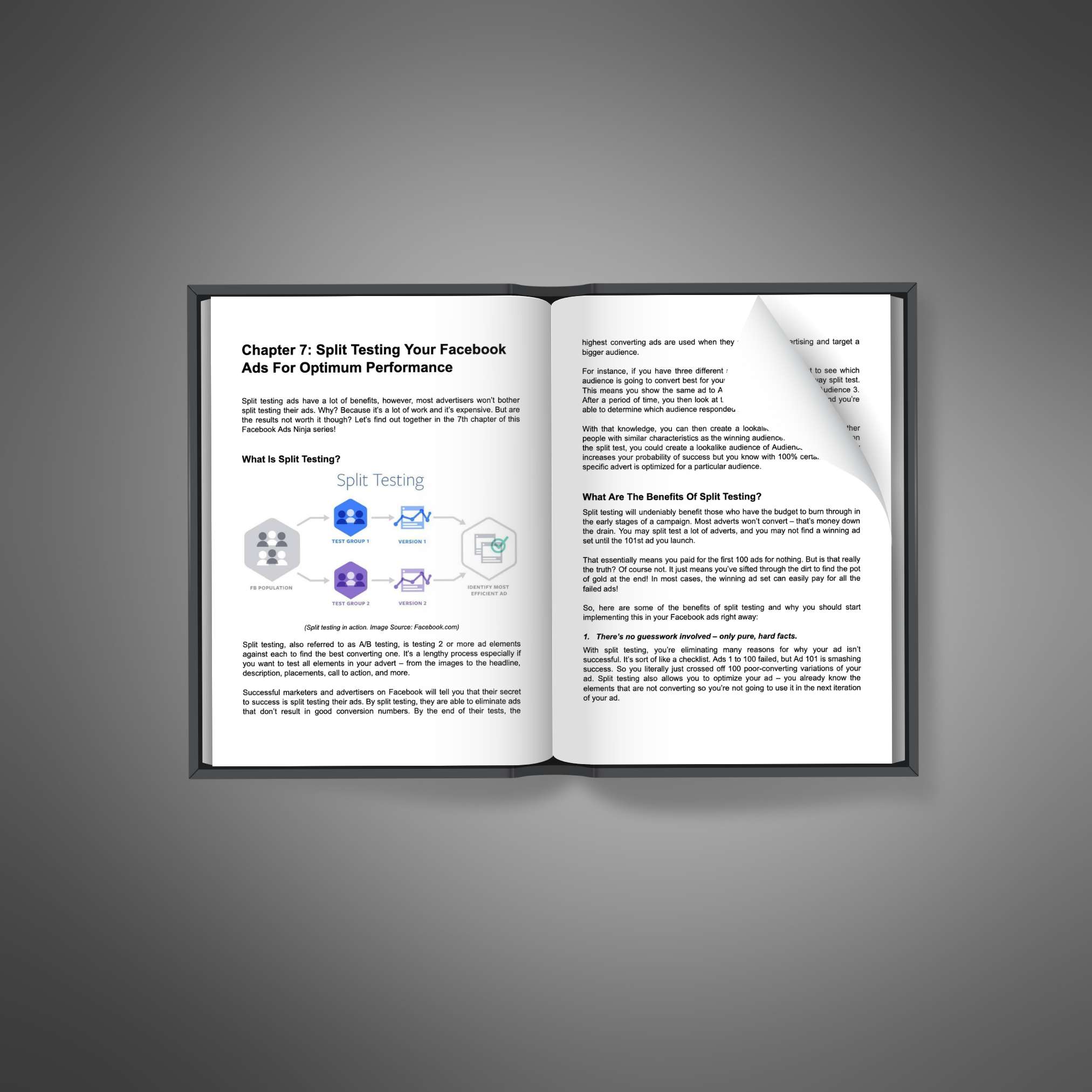 Facebook Ad Mastery_1