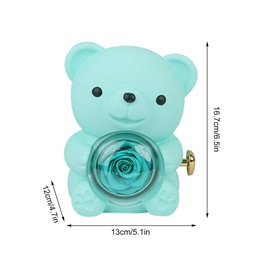 "🌹✨ Rose Teddy Bear with Dazzling Jewelry Gift Set 🎁"