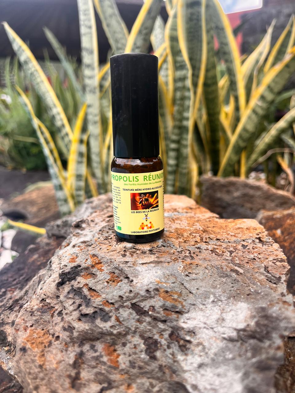PROPOLIS (Teinture mère)