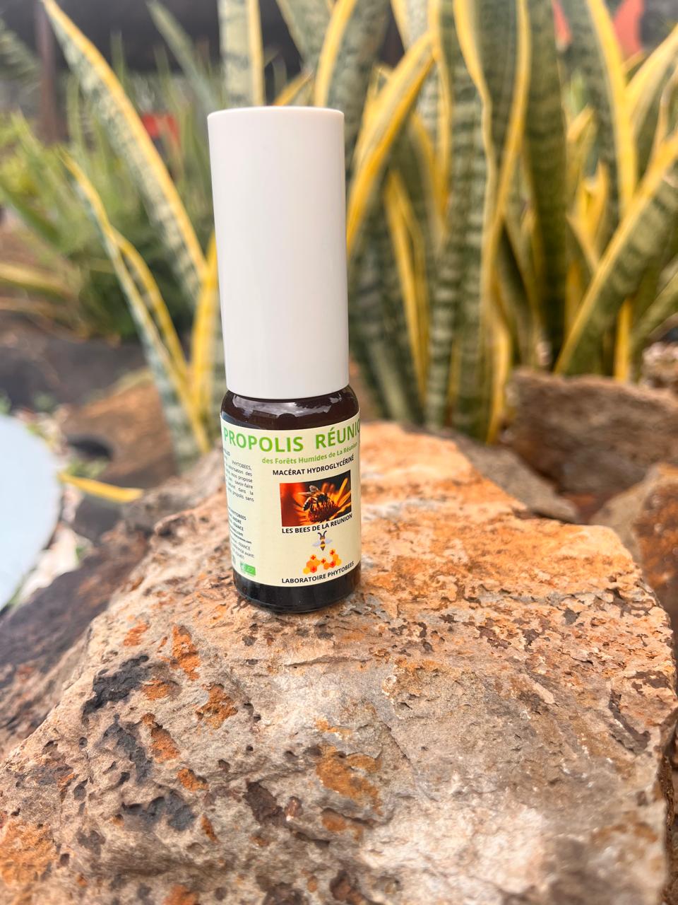 PROPOLIS (Macérat)