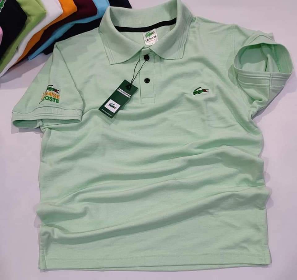 Mens Casual Polo T shirt_15