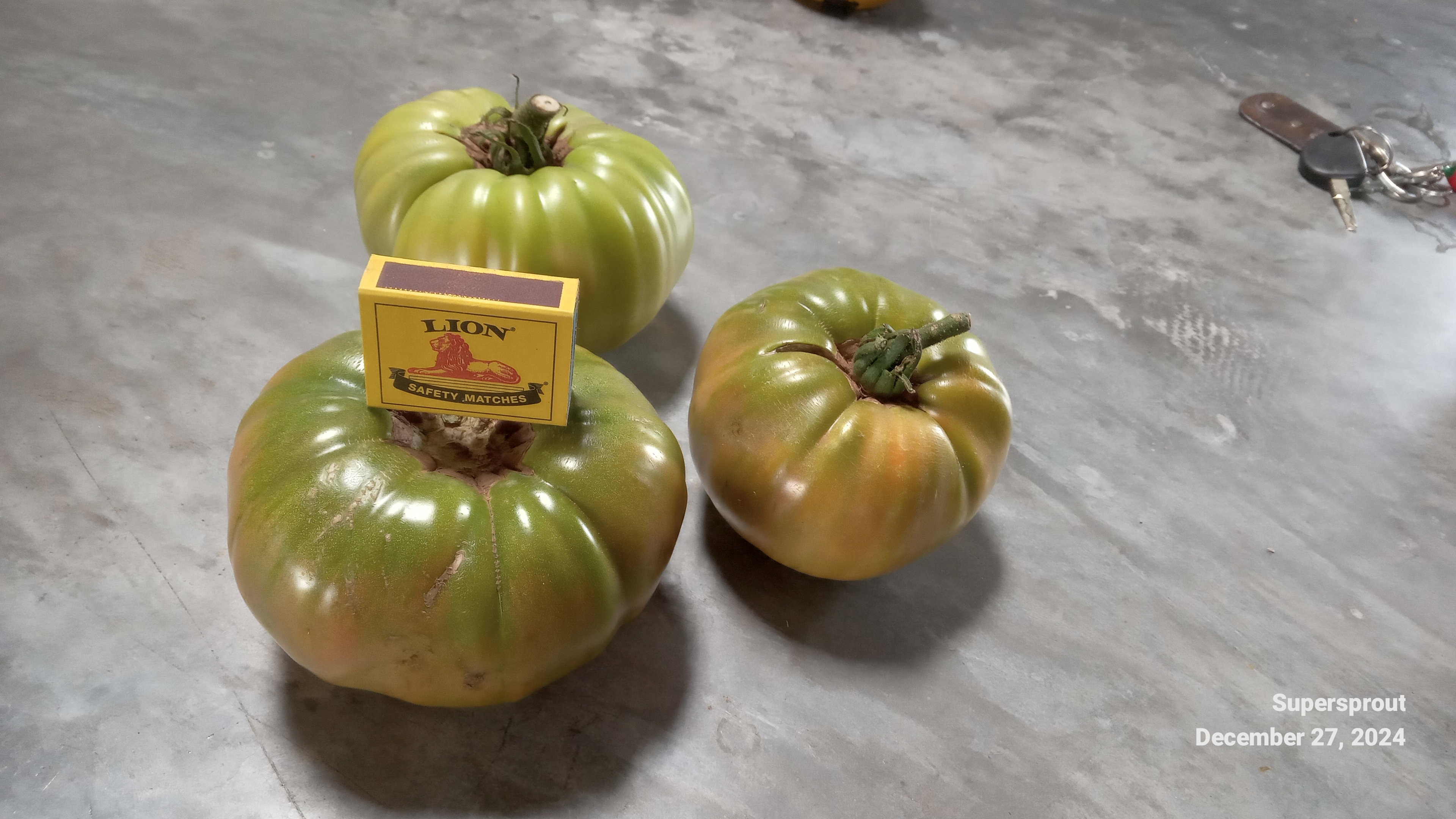🍅NAPA GIANT TOMATO🍅 x 10 seeds_4