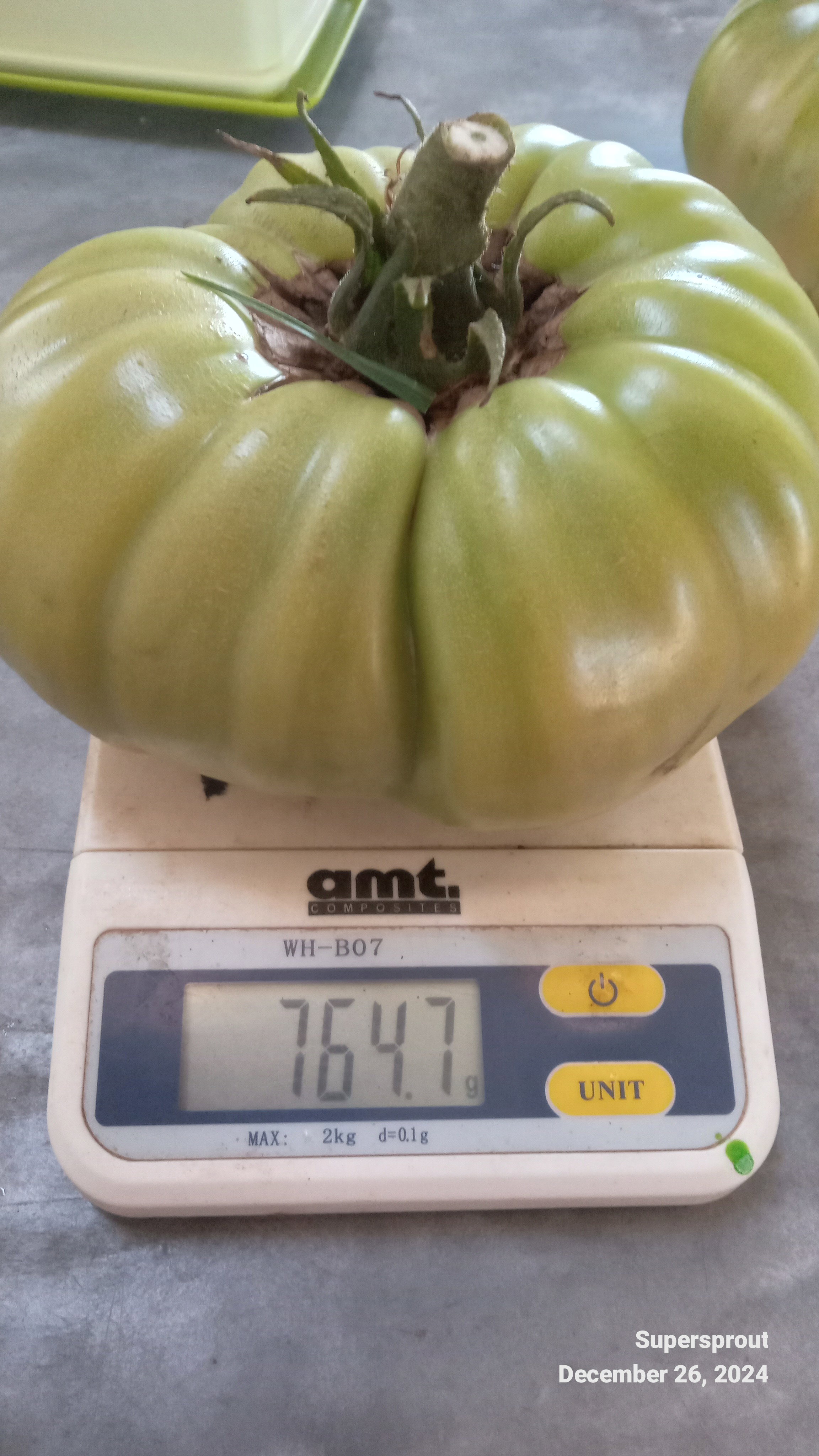 🍅NAPA GIANT TOMATO🍅 x 10 seeds_6