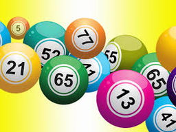 Wednesday: BINGO 