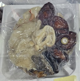 Premium Sea Treasure CNY Pot