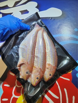 本地紅衫魚🧊(約12兩)(3條裝⚠️)(已清洗及處理好)