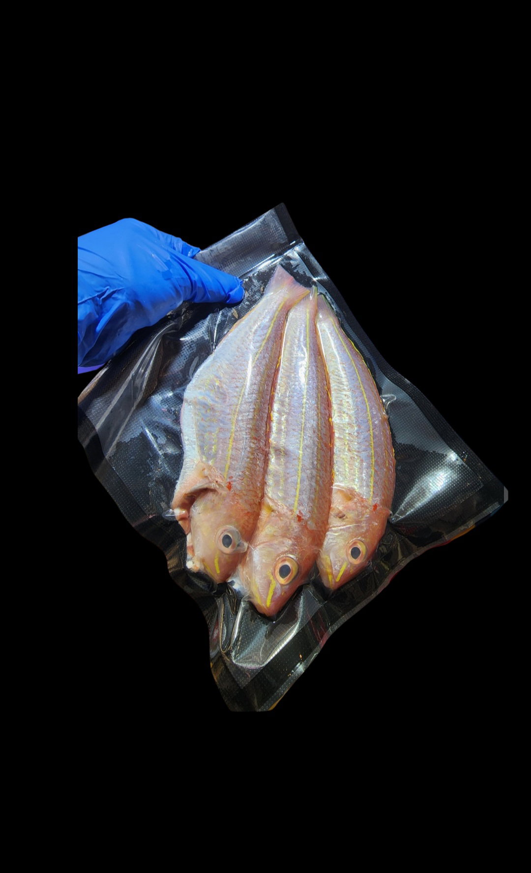 本地紅衫魚🧊(約12兩)(3條裝⚠️)(已清洗及處理好)