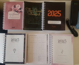 THE GOOD STEWARD FINANCIAL TRACKER 