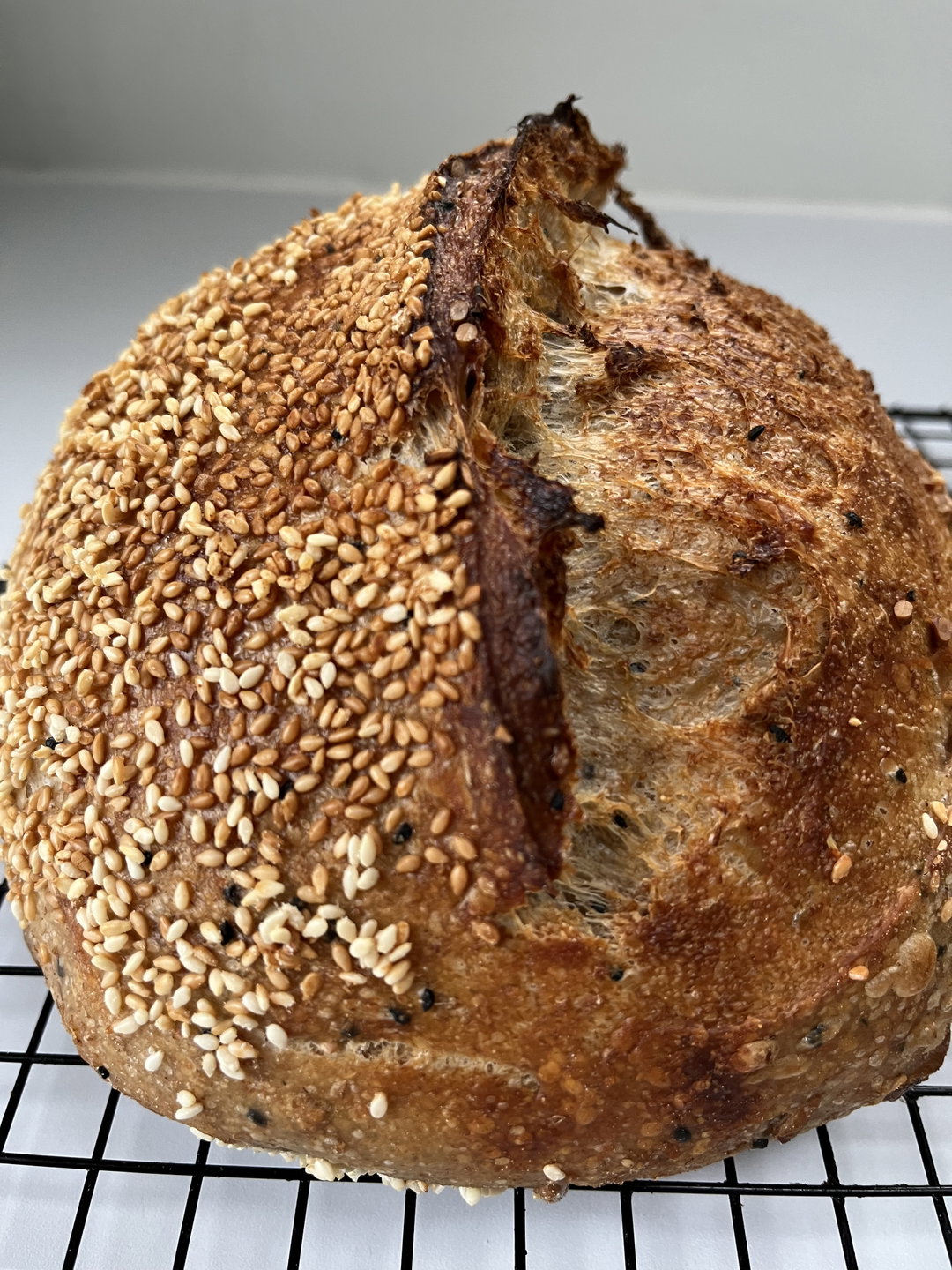 Toasted Sunflower and Black Sesame Seed Sourdough
