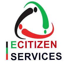 E citizen services