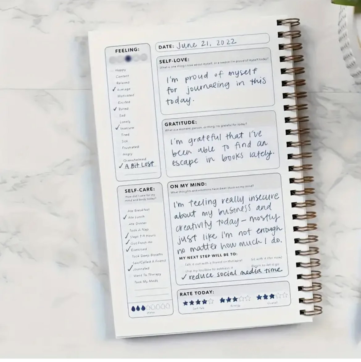 Healing Journal_1