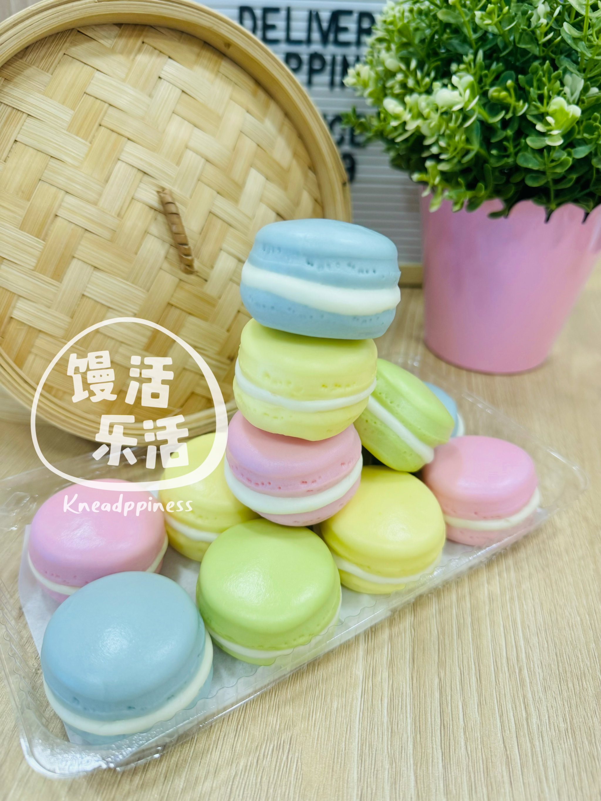 Macaron Buns _0