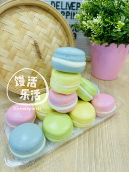 Macaron Buns 