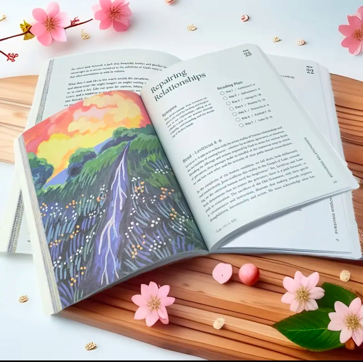 Year in the Bible Devotional _2
