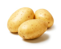 Vegetable