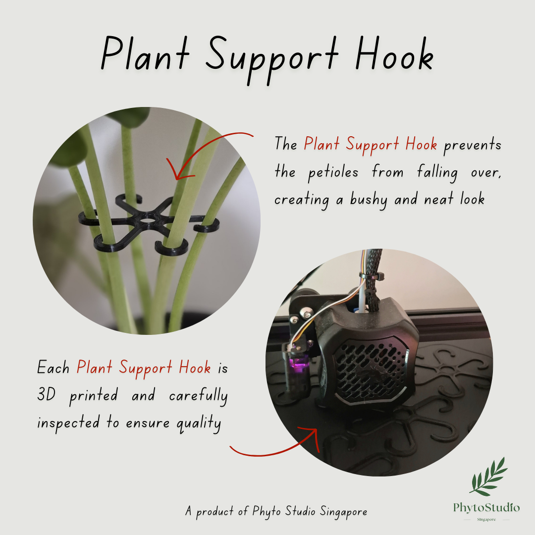 PROMOTION: 4pcs 80mm Plant Support Hook_1