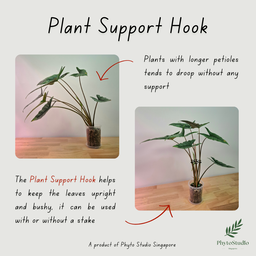 PROMOTION: 6pcs 60mm Plant Support Hook
