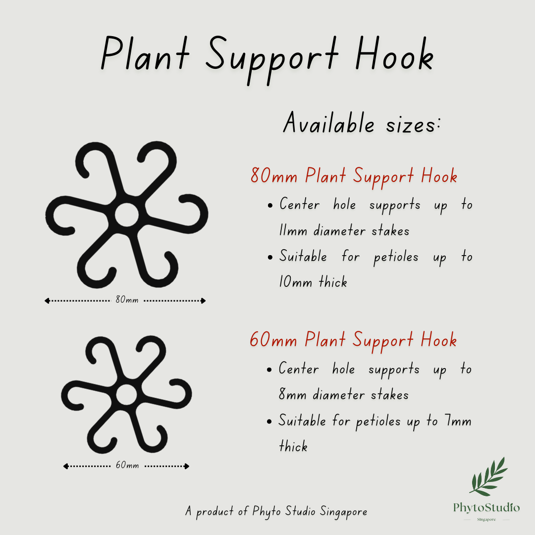 PROMOTION: 6pcs 60mm Plant Support Hook_4