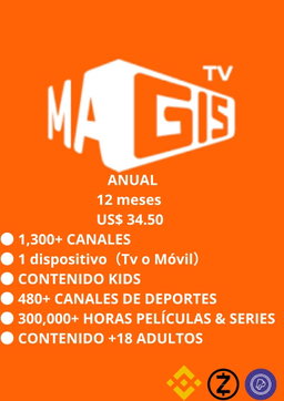 12 MESES 1 PANTALLA