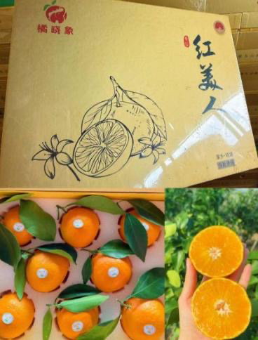 Red Beauty 红美人 Mandarin Oranges_0