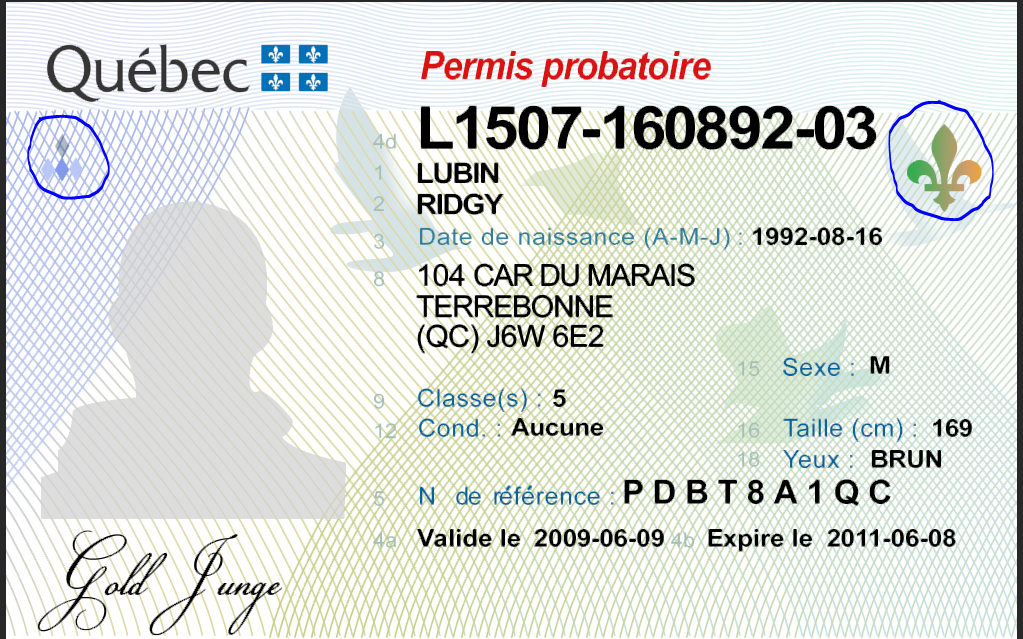 Driver licence psd
