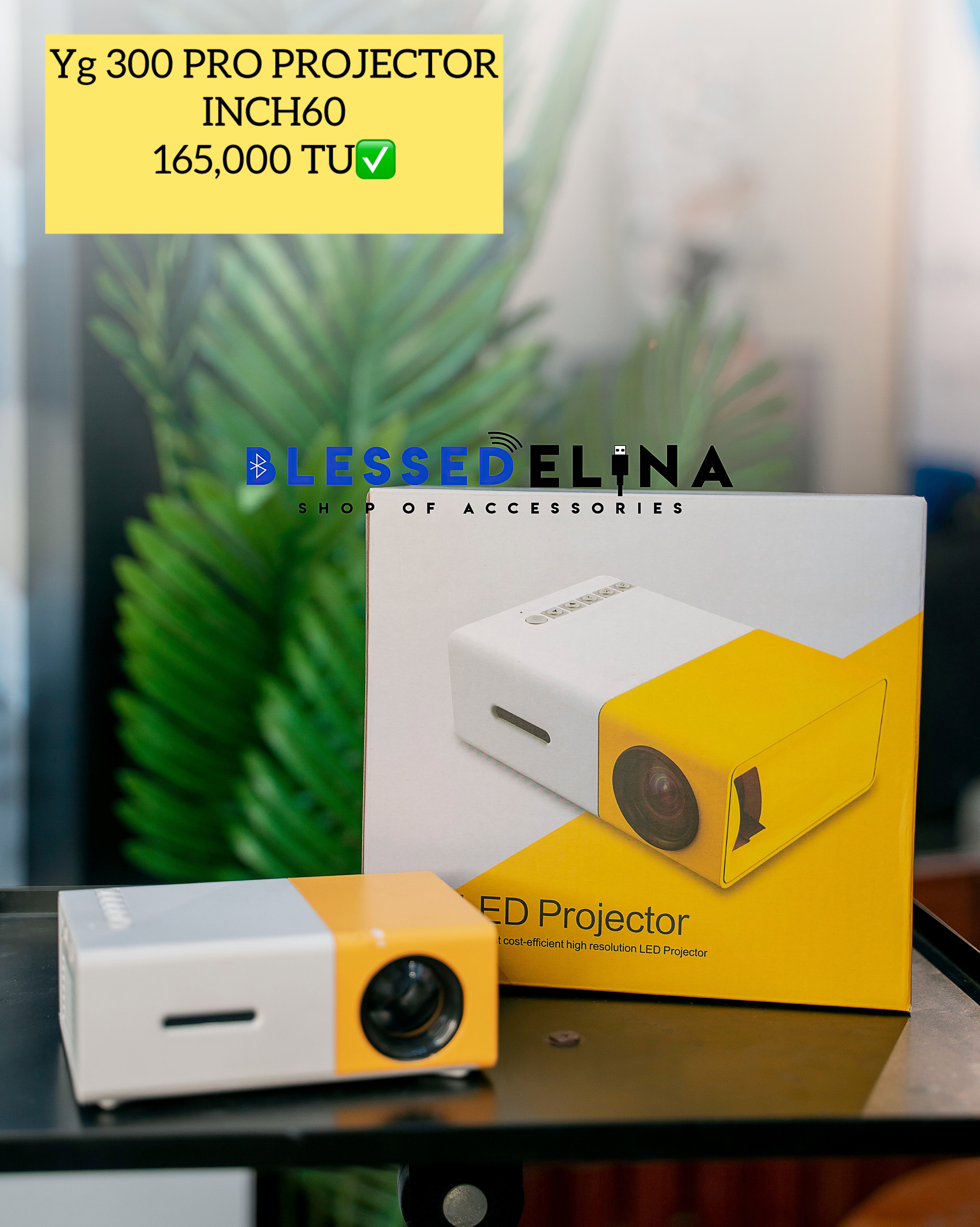 YG 300 PRO MIN PROJECTOR_0