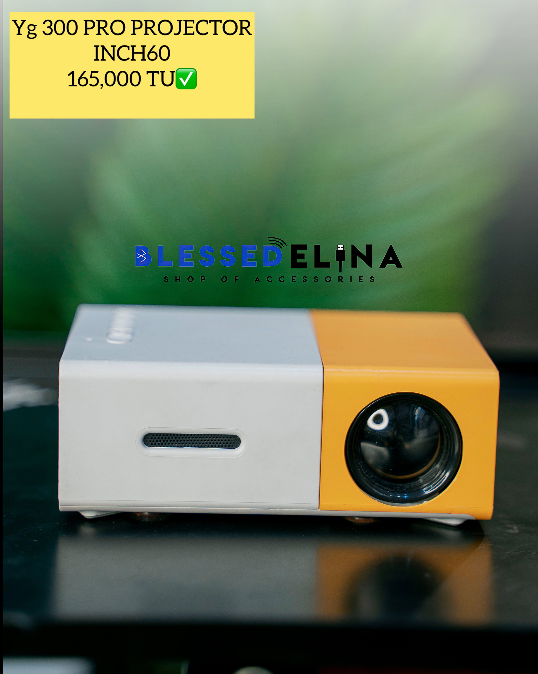 YG 300 PRO MIN PROJECTOR_1