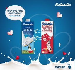 Hollandia yogurt
