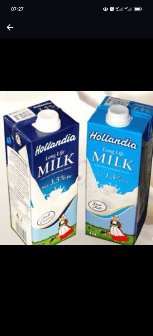 Hollandia milk