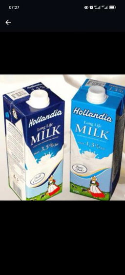 Hollandia milk 