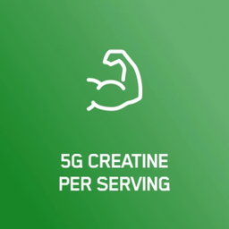 Creatine ON 675gr nueva imagen