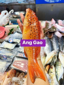 Whole Red Garoupa 900grams - 1kg (comes with head and bones)