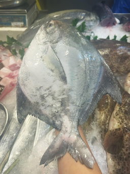Whole Chinese Pomfret