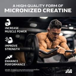Platinum Creatine 400g MUSCLETECH