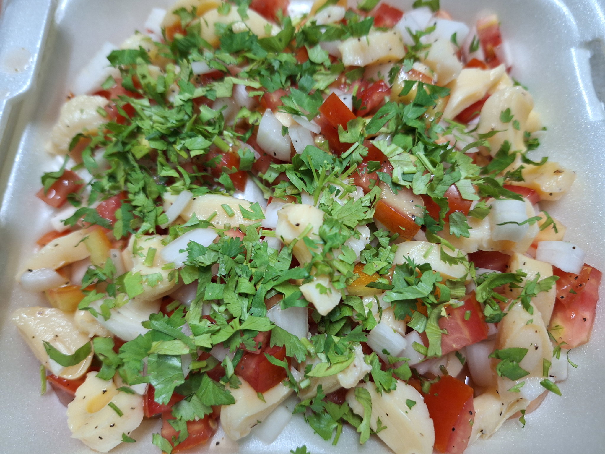 CONCH CEVICHES _0