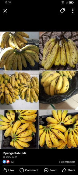 Banana 