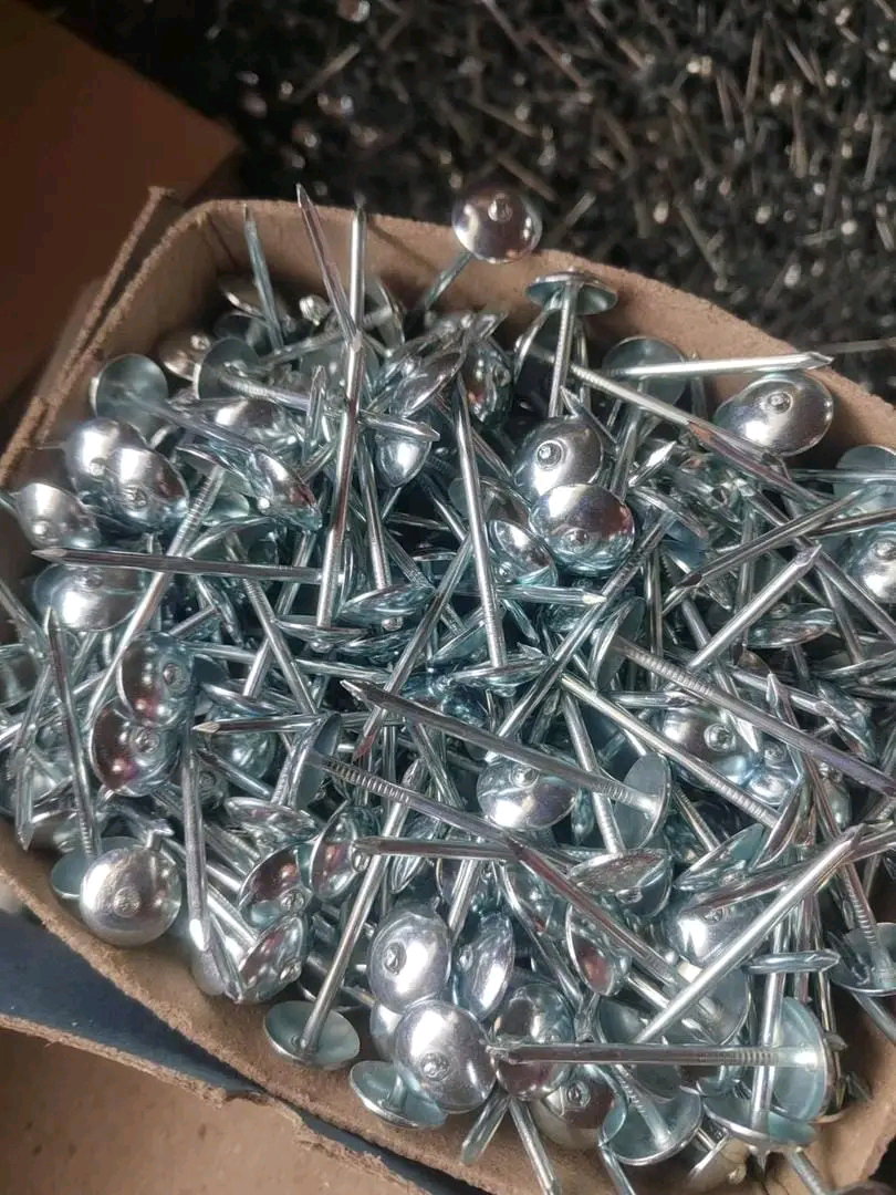 ROOFING NAILS // sh 200 per kilo_1