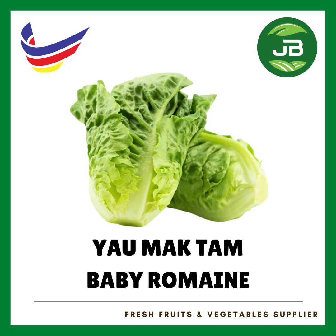 BABY ROMAINE ( YAU MAK ) 香旦_0