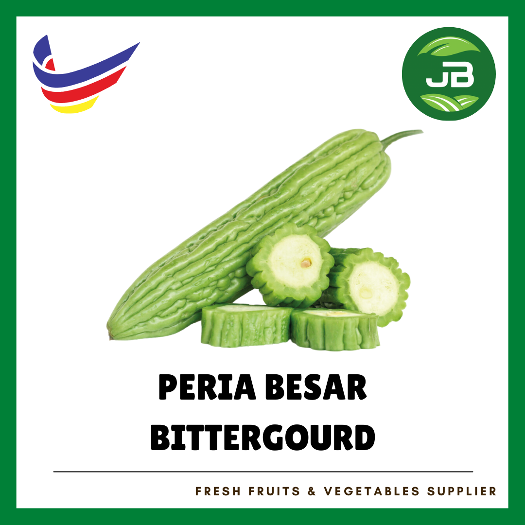 PERIA BESAR 苦瓜_0