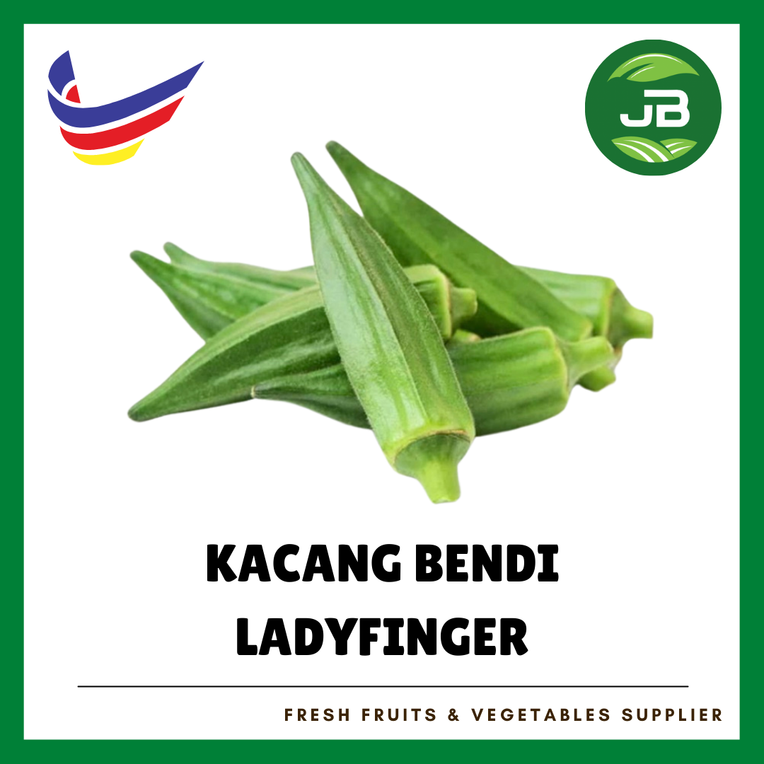KACANG BENDI 羊角豆_0