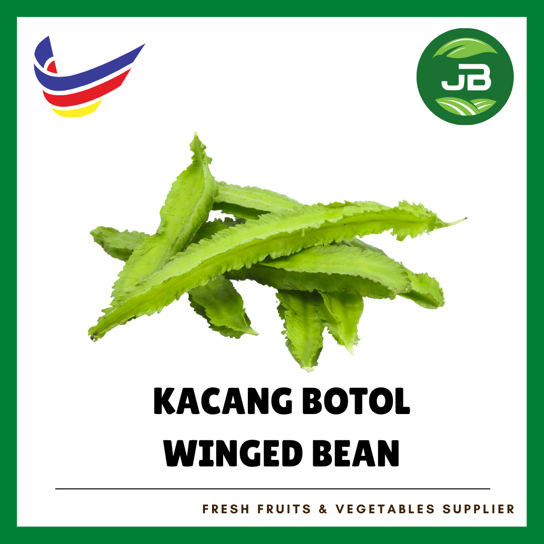 KACANG BOTOL 四角豆