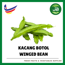 KACANG BOTOL 四角豆