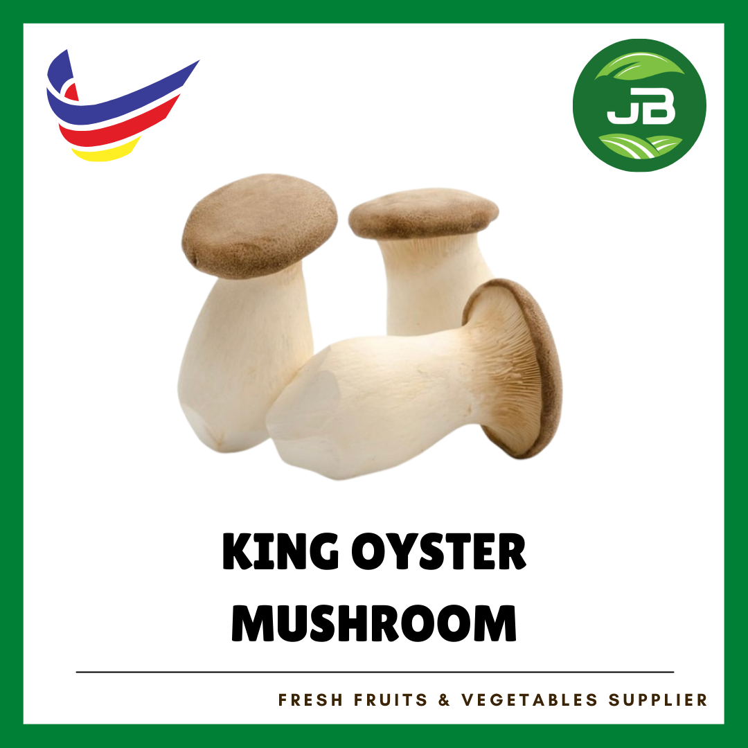KING OYSTER