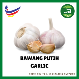 BAWANG PUTIH 葱头