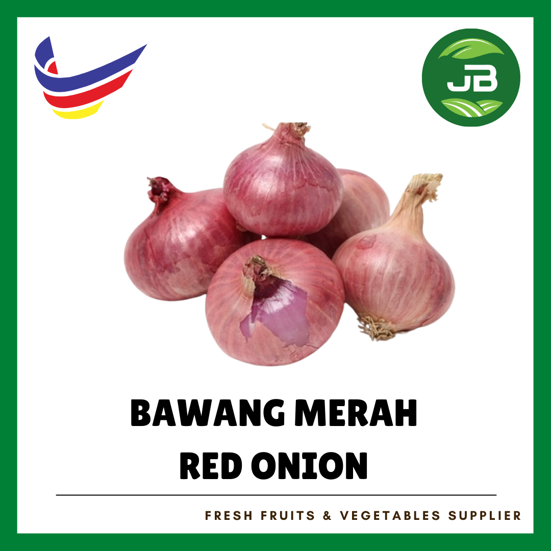 BAWANG MERAH 大葱 CHINA_0