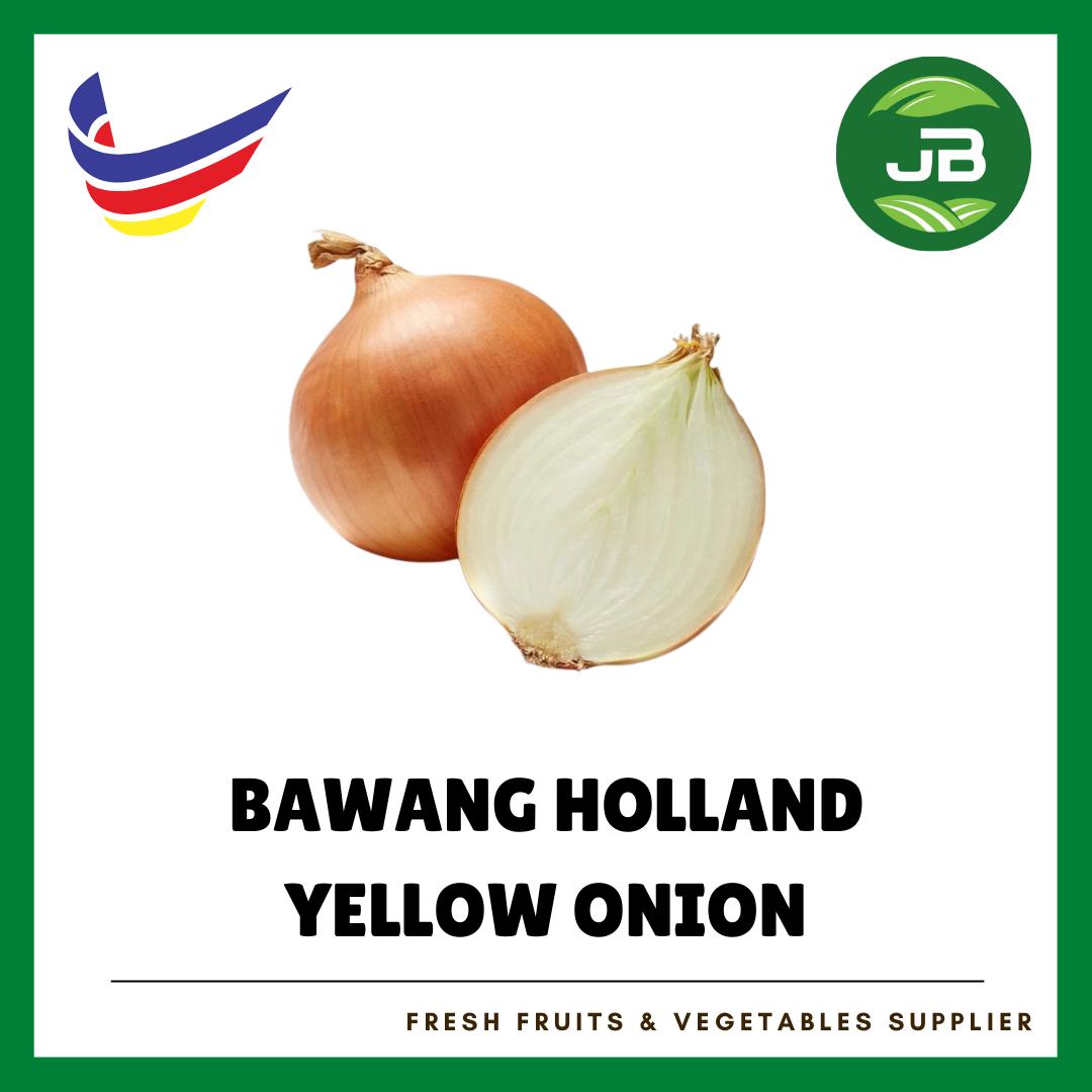 BAWANG HOLLAND 荷兰洋葱_0