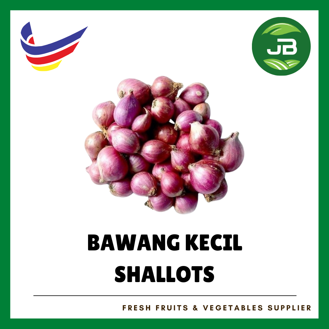 SMALL ONION INDIA_0