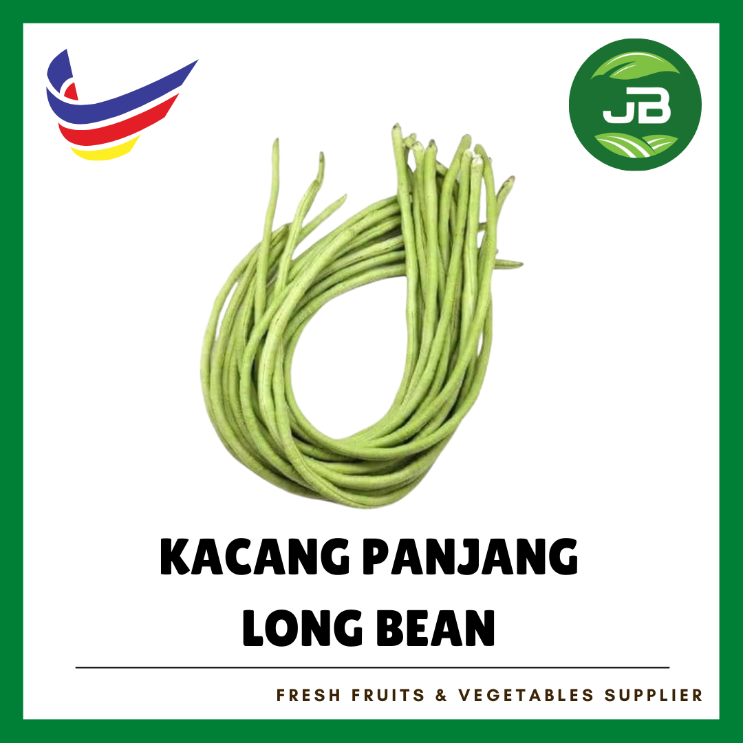 KACANG PANJANG 长豆_0