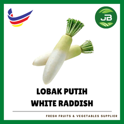 LOBAK PUTIH 白萝卜