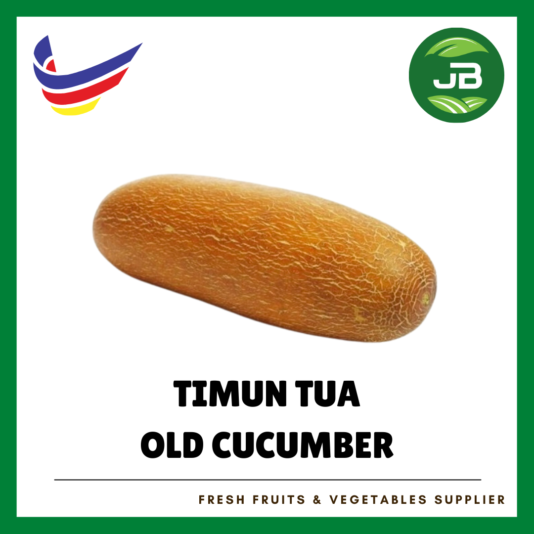 TIMUN TUA 老黄瓜_0